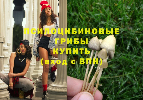 бошки Карпинск