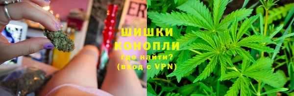 бошки Карпинск